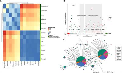 Characterization of a novel Plasmodium falciparum merozoite surface antigen and potential vaccine target